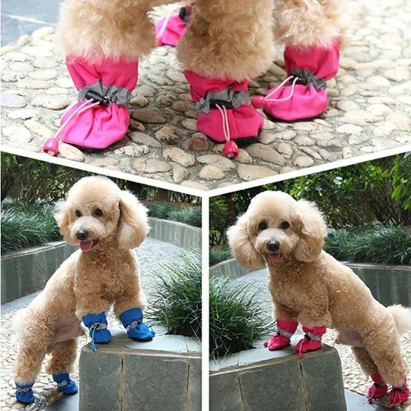 New 4Pcs Dog Shoes Waterproof  - đánh giá và giá Shoe Polish Cream